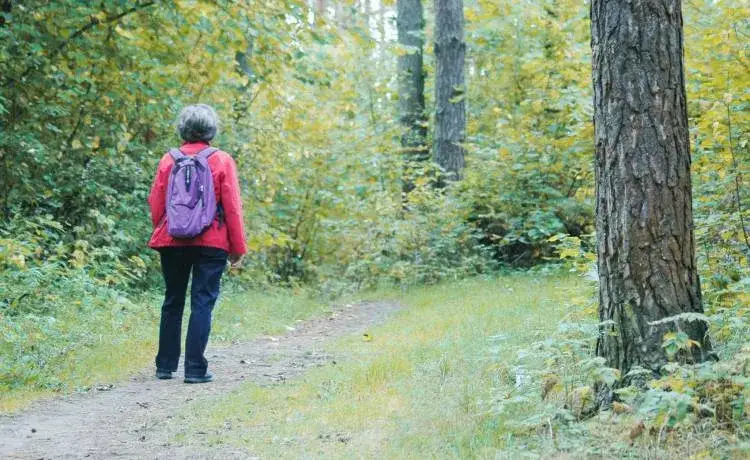 Zdjęcie Najlepsze aplikacje do nawigacji w lesie - jak wyjść z lasu