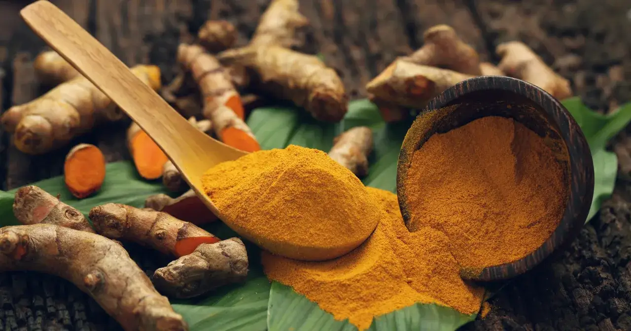Kurkuma do czego? Do przyprawiania, barwienia i zdrowia. Intensywnie ż&oacute;łty proszek na łyżce i w miseczce, obok korzeni i liści.