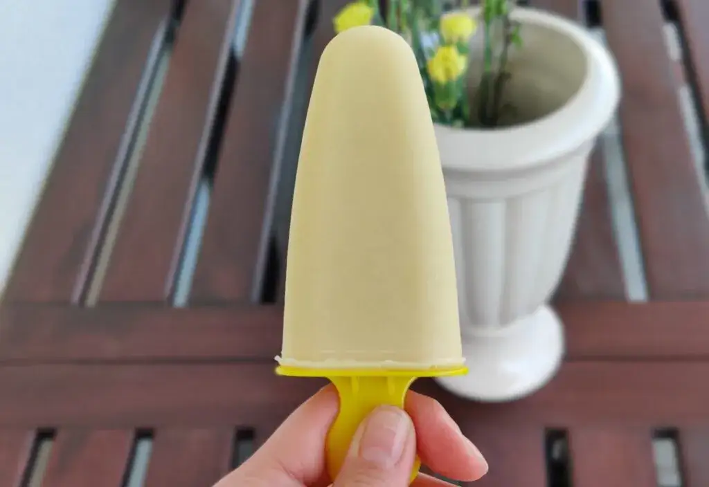 Domowe lody z galaretki i owoc&oacute;w