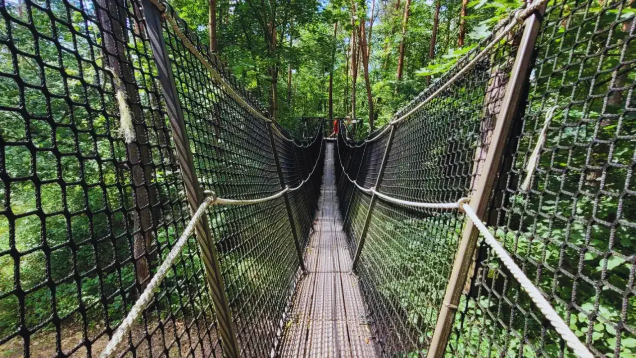 Zdjęcie Najlepsze atrakcje w Pomiechówku, które musisz zobaczyć teraz