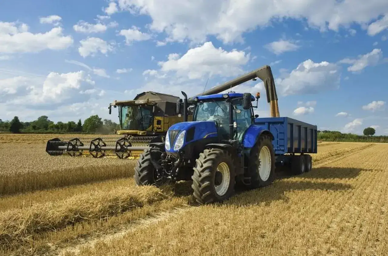 Zdjęcie Ile zboża z 1 ha? Odkryj plony, które zaskoczą każdego rolnika