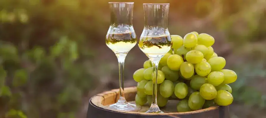 Zdjęcie Grappa napój: odkryj różnice między alkoholową a bezalkoholową wersją