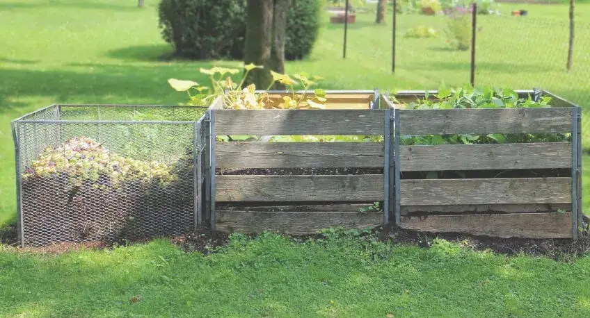 Zdjęcie Kiedy kompost na trawnik: skuteczny poradnik nawożenia krok po kroku