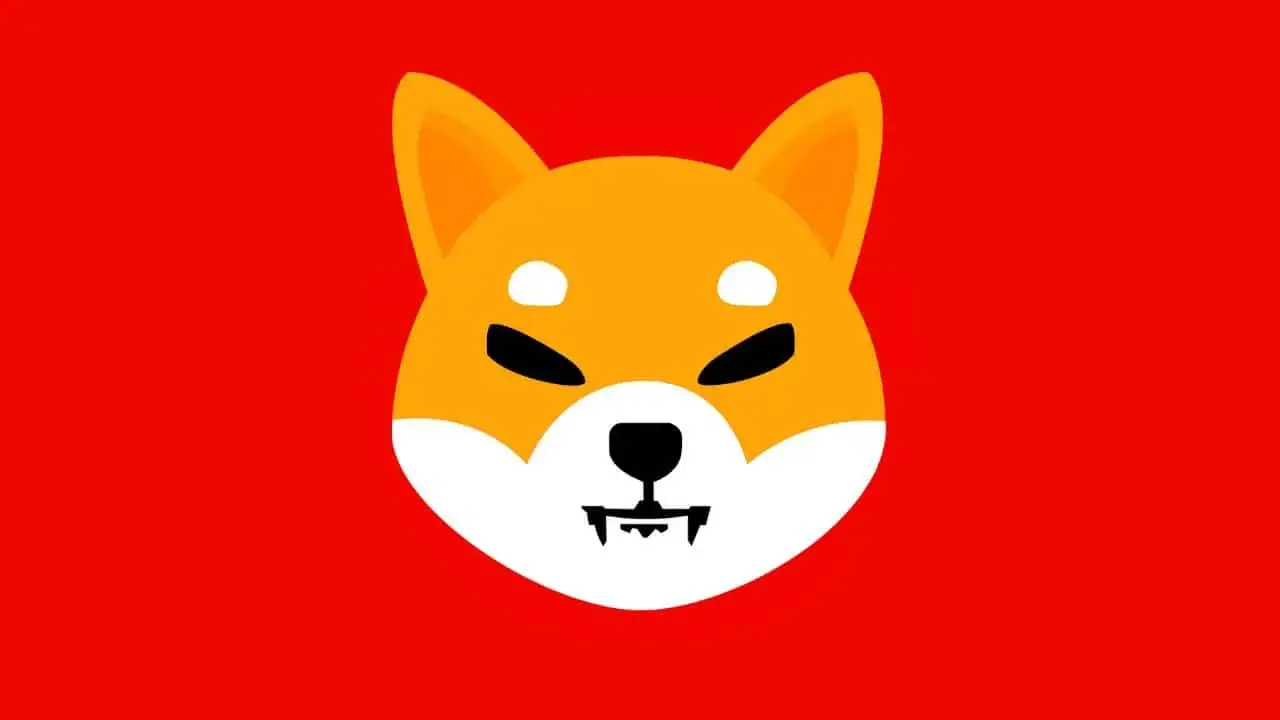 Zdjęcie Shiba Inu kryptowaluta: dlaczego warto inwestować i co musisz wiedzieć