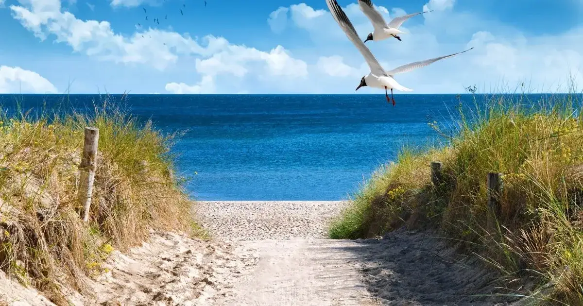 Zdjęcie Najlepsze atrakcje w Dźwirzynie, które zaskoczą każdego turystę