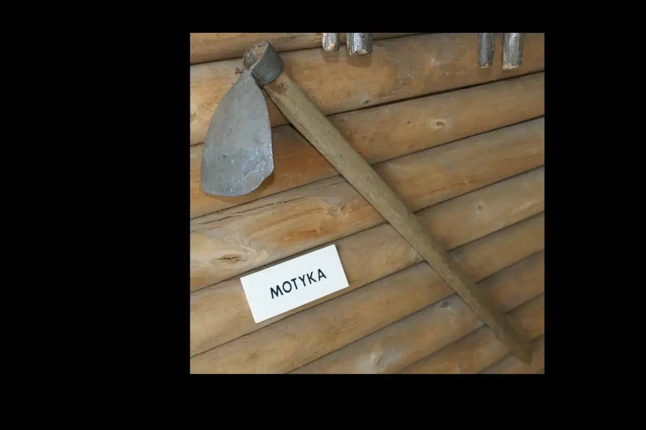 Zdjęcie Rolnictwo w czasach dynastii: jak władcy kształtowali rozwój upraw i gospodarkę