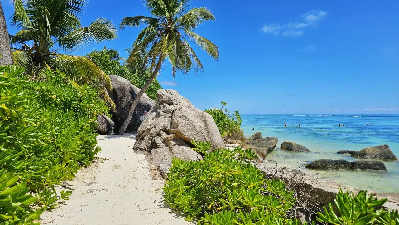 Zdjęcie Ile kosztuje lot na seszele? Sprawdź ceny i najlepsze oferty