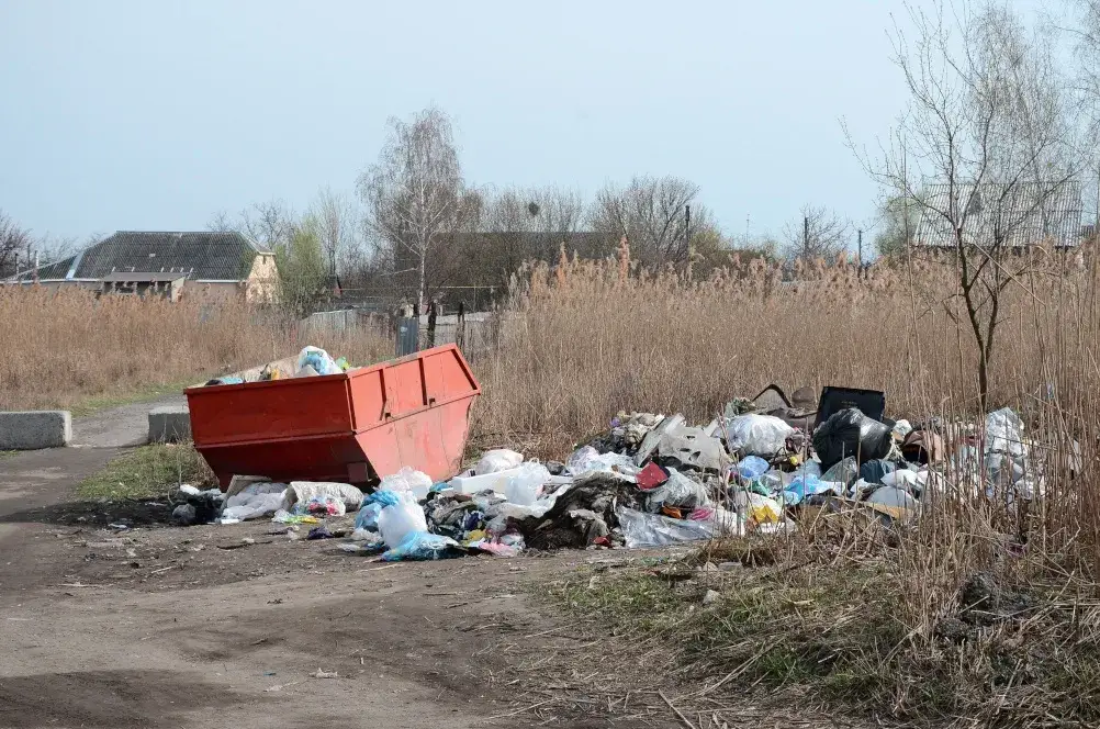 Zdjęcie Jak zgłosić nielegalne wyrzucanie śmieci i chronić naszą planetę