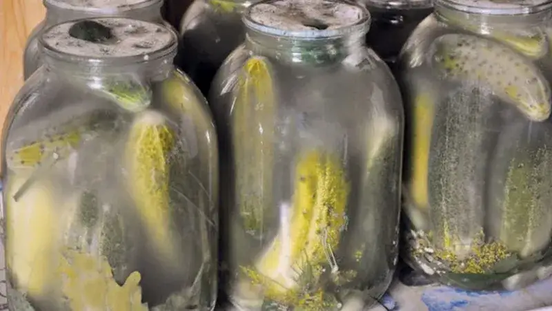 miękkie ogórki kiszone, spleśniałe ogórki w słoiku, zmętniała solanka