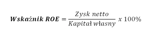 Wz&oacute;r na wskaźnik ROE