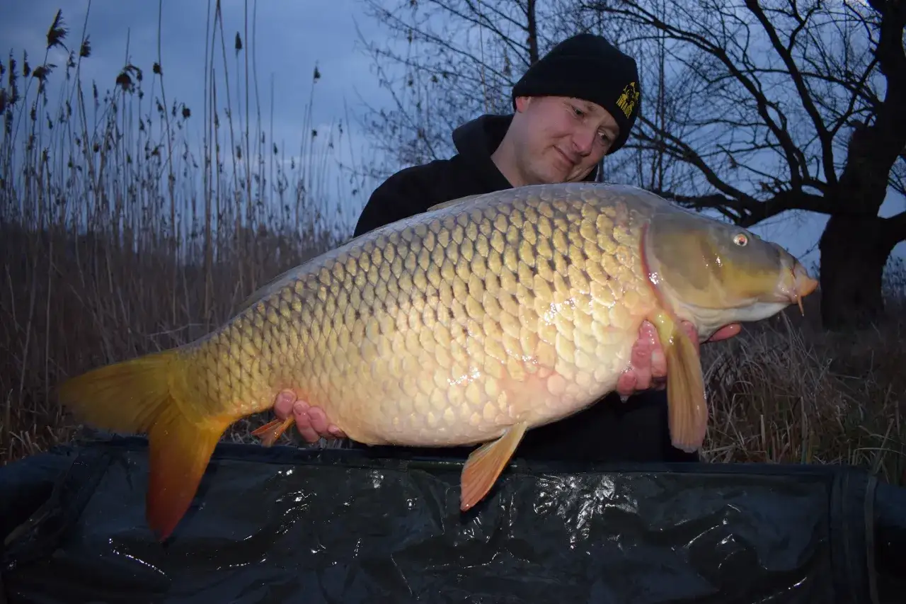 Łowisko Jerzyn rekordowy karp