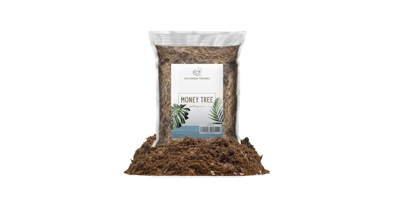 Ziemia do pachiry, czyli 