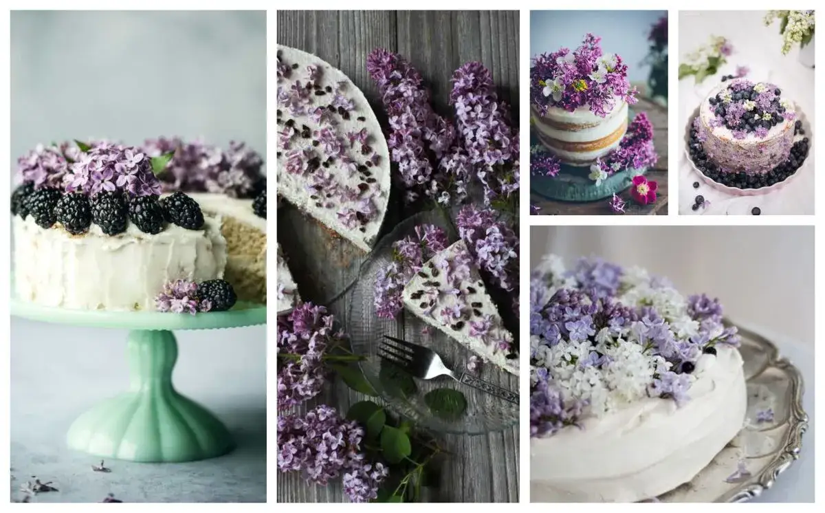 r&oacute;że bratki lawenda na torcie