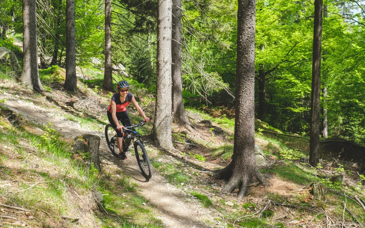 Kobieta na rowerze górskim przemierza leśne trasy rowerowe Szklarska Poręba. Słońce przebija się przez drzewa.