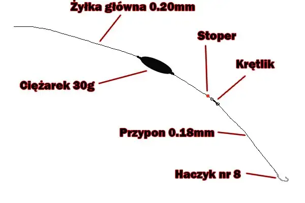 parametry wędki gruntowej grafika