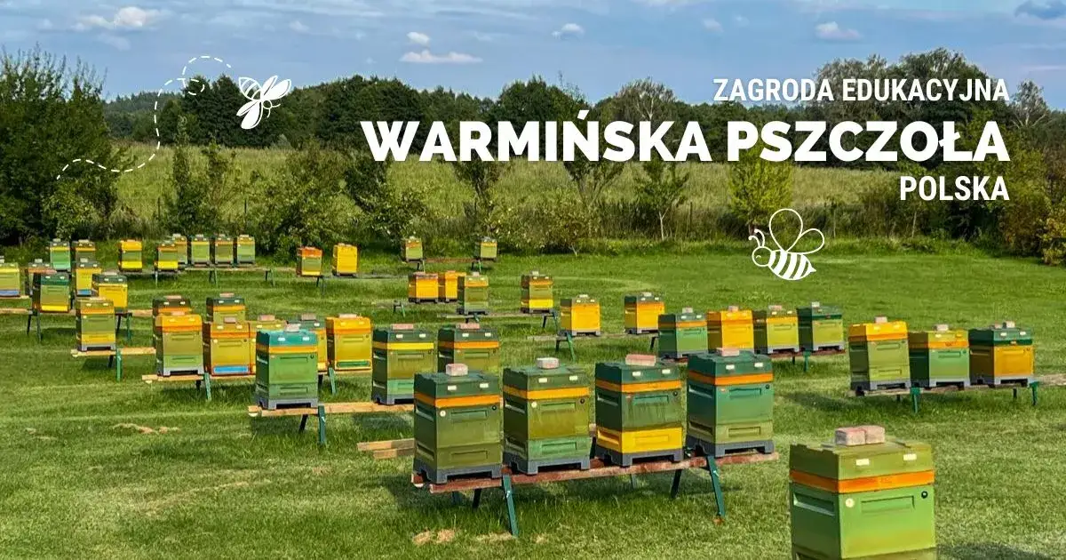 przykładowa zagroda edukacyjna w Polsce