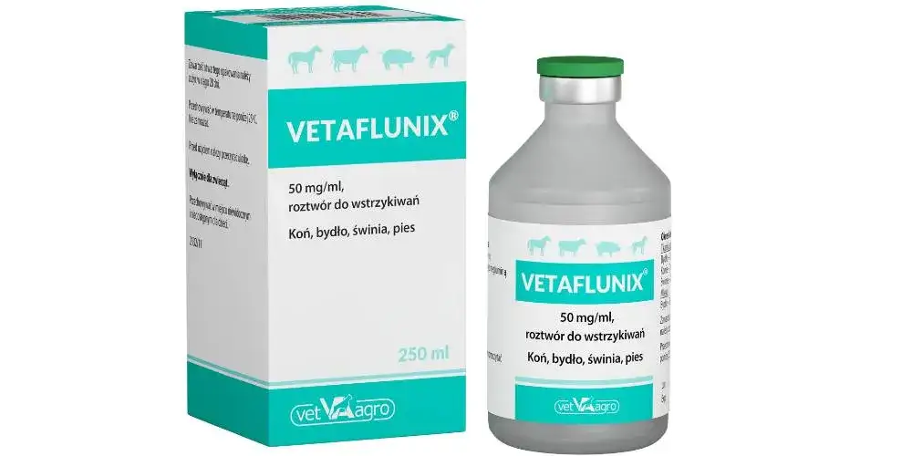 Zdjęcie Furagin dla psa jaka dawka - uniknij błędów przy podawaniu leku