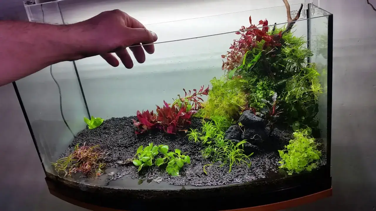 zakładanie akwarium krok po kroku