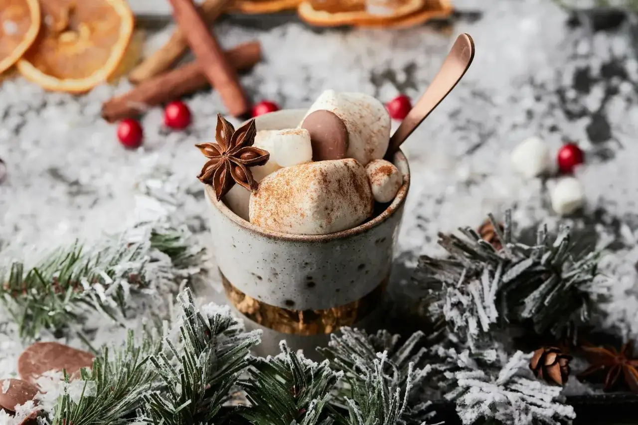Variety of cocoa toppings and spices, like cinnamon, whipped cream, marshmallows