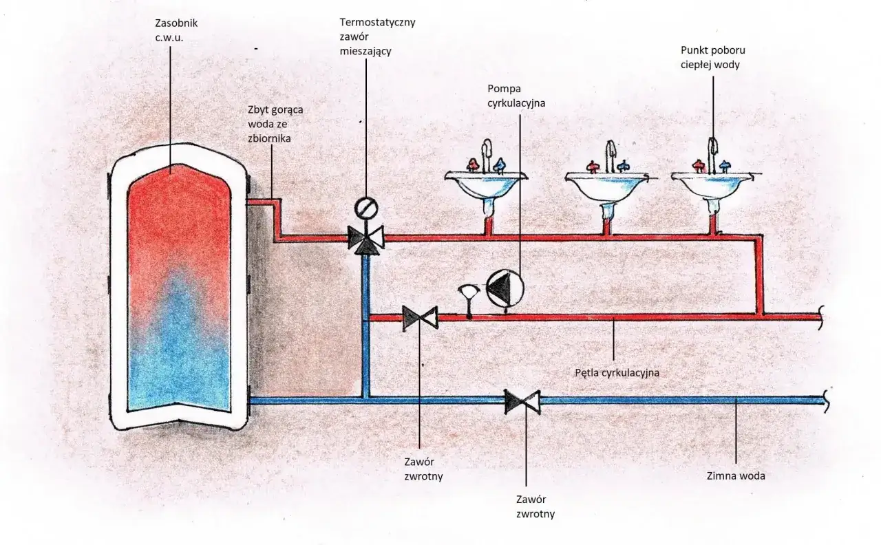 Schemat cyrkulacji cwu: zasobnik, pompa, zawory i punkty poboru wody. Ciepła woda krąży w obiegu.