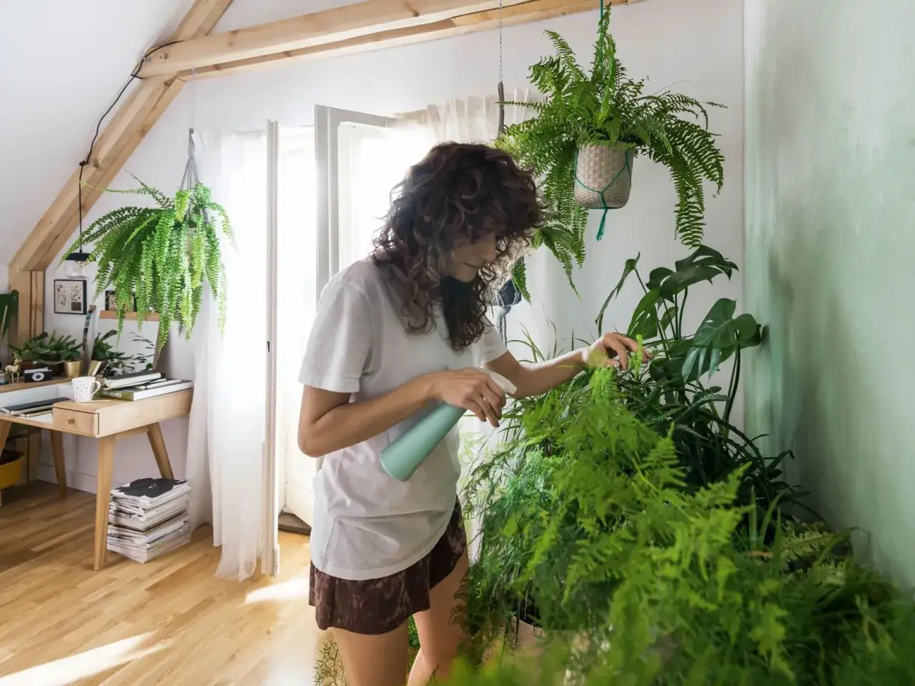 Kobieta podlewa paprotkę w domu, dbając o zieleń i zdrowie. Wiele paproci tworzy bujną, zieloną dżunglę.