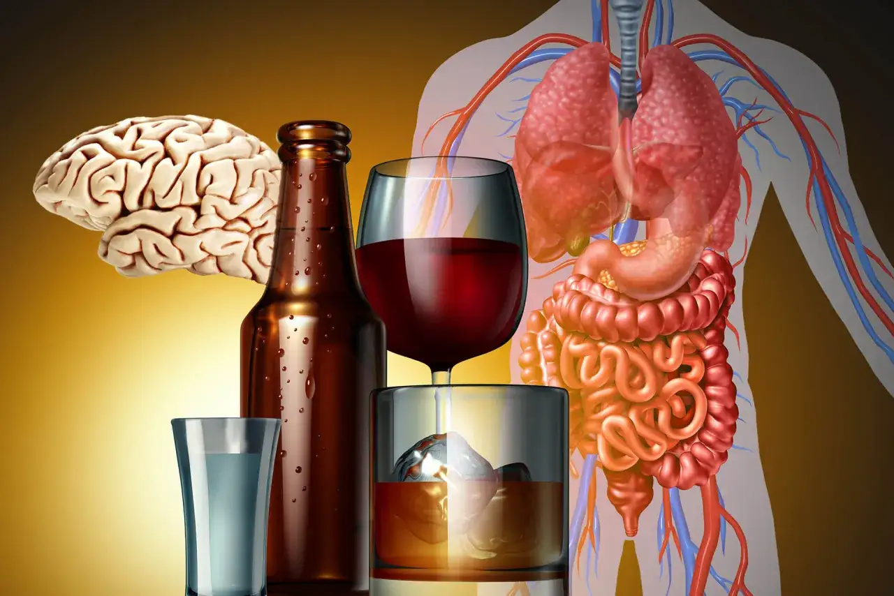 Mózg, płuca, żołądek i jelita obok alkoholu. Czy whisky jest zdrowe? Obraz sugeruje negatywny wpływ na organizm.
