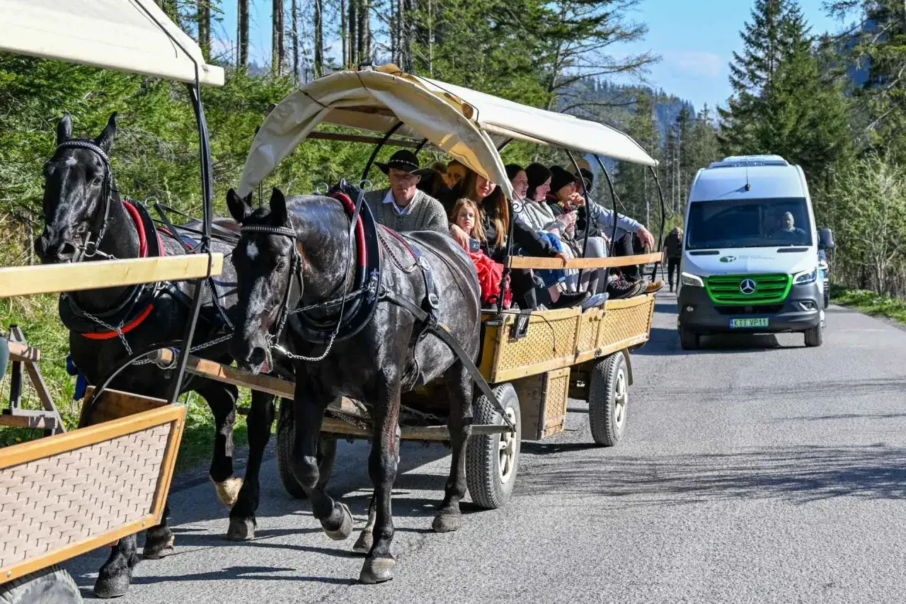 Dwa czarne konie ciągną wóz z ludźmi. W tle las i biała furgonetka. Konie morskie oko.