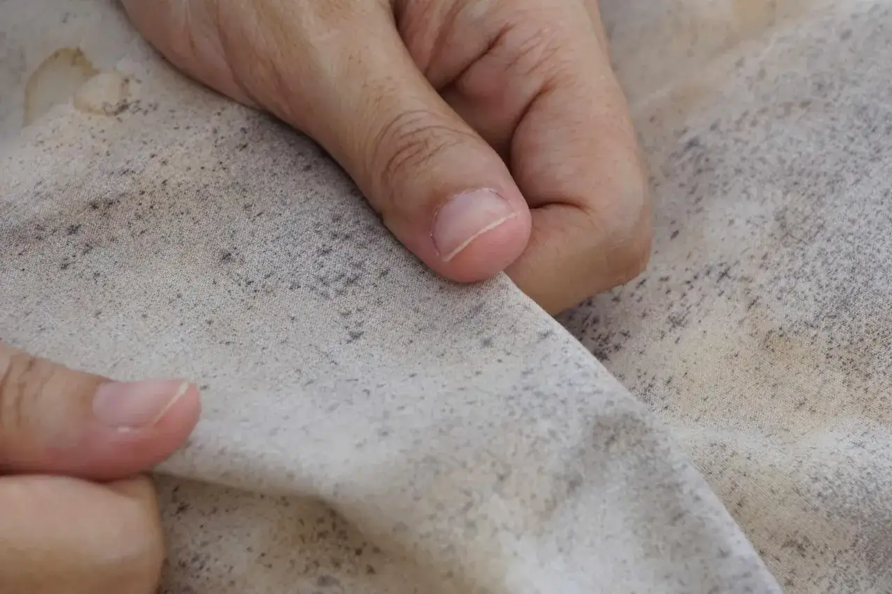 Dłonie dotykają materiału z widoczną pleśnią na meblach. Szare plamy pokrywają jasny materiał, świadcząc o wilgoci i zaniedbaniu.