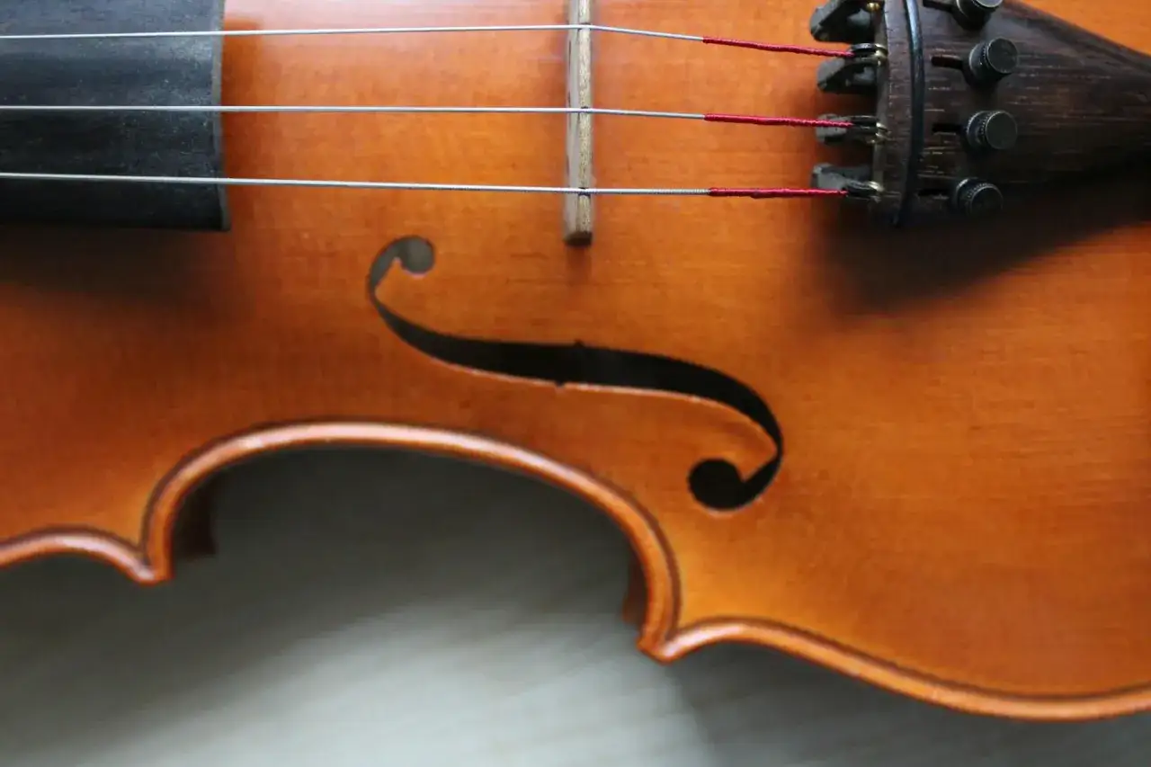 Zbliżenie na skrzypce, gdzie widać struny i fragment pudła rezonansowego. Kto robi skrzypce? Rzemieślnik z pasją.