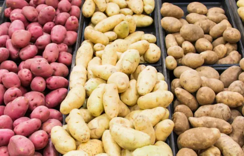 Rodzaje ziemniaków kulinarne typy A B C zastosowanie