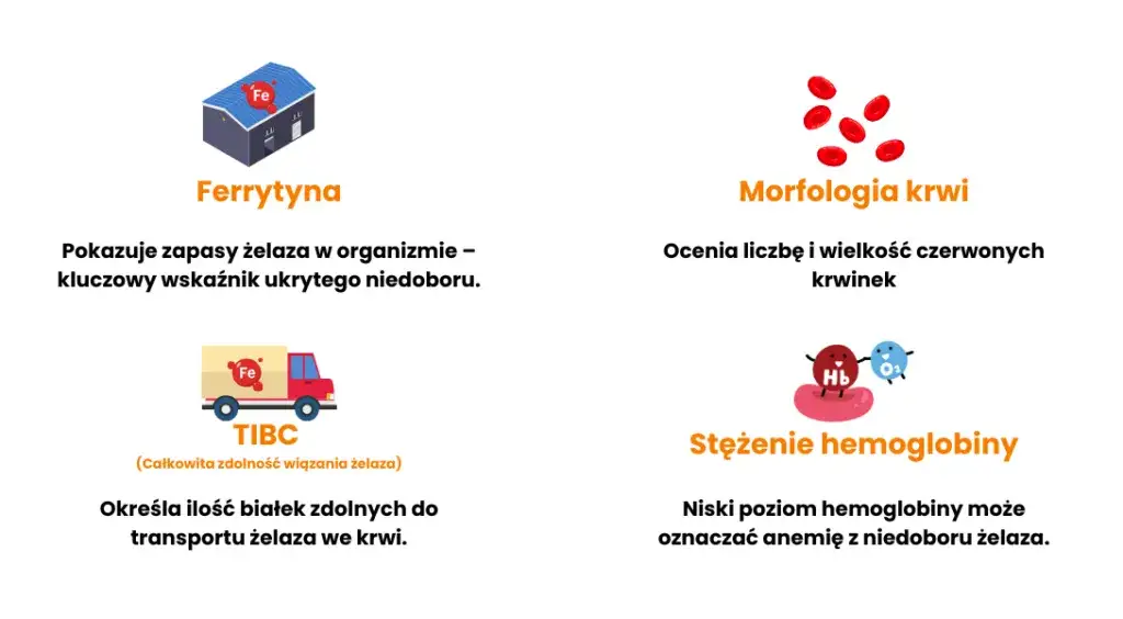 grupy ryzyka niedob&oacute;r żelaza statystyki