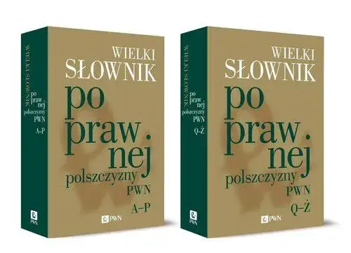 Nowy słownik poprawnej polszczyzny PWN otwarta książka