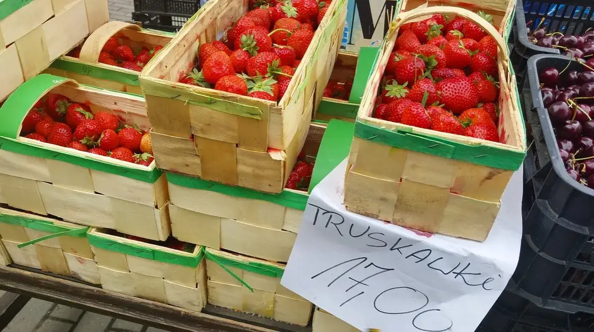 świeże truskawki w pojemniku z ręcznikiem papierowym
