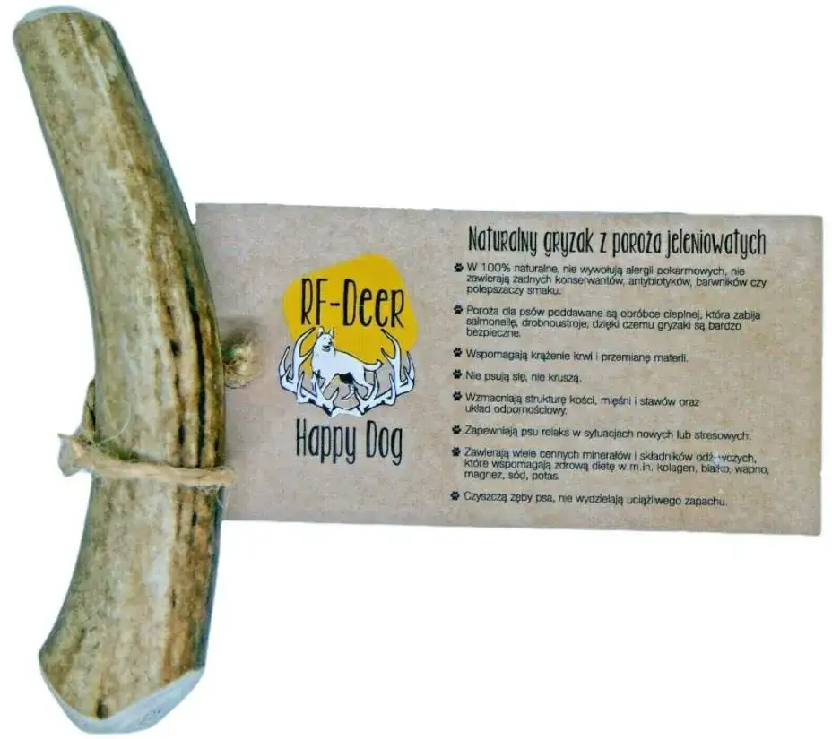 Zdjęcie Róg jelenia dla psa od kiedy? Sprawdź, co musisz wiedzieć