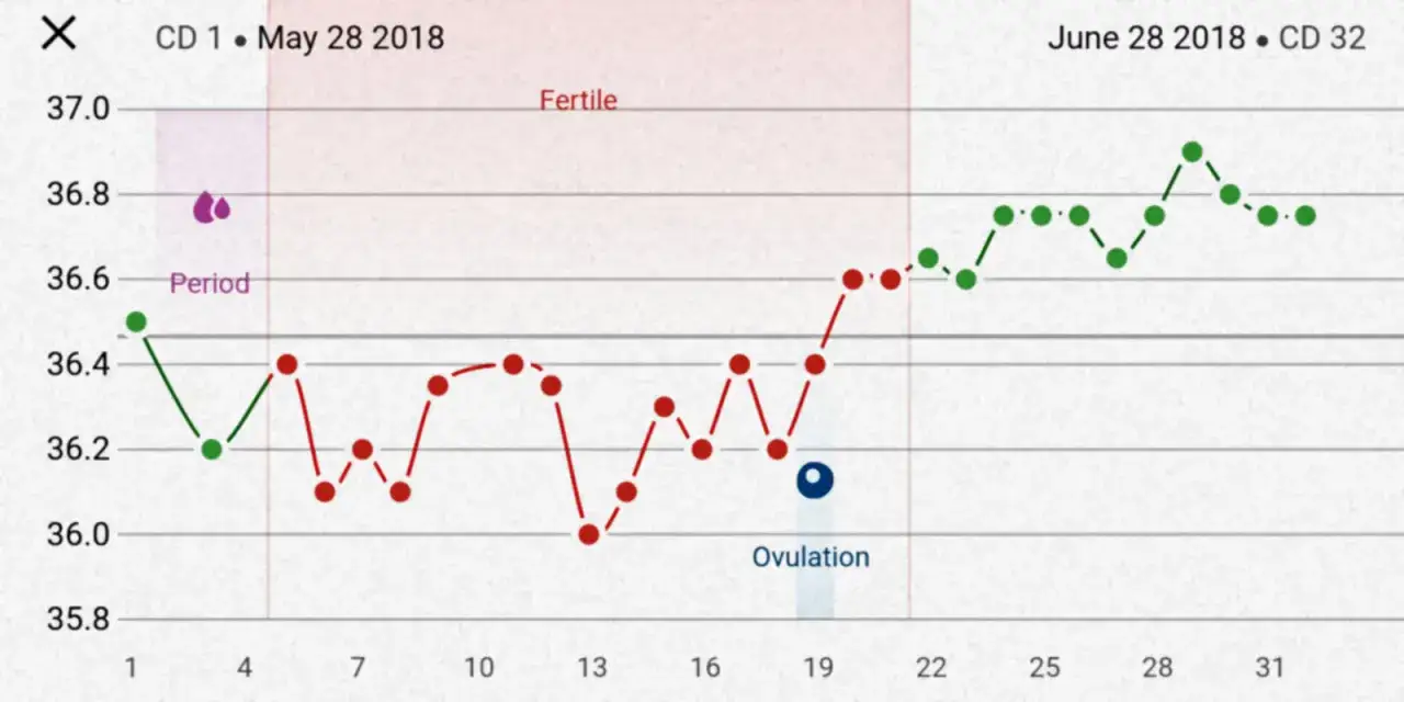 Wykres temperatury ciała, pokazujący spadek podczas okresu, a następnie wzrost, gdy wzrasta temperatura w cyklu, z zaznaczoną owulacją.
