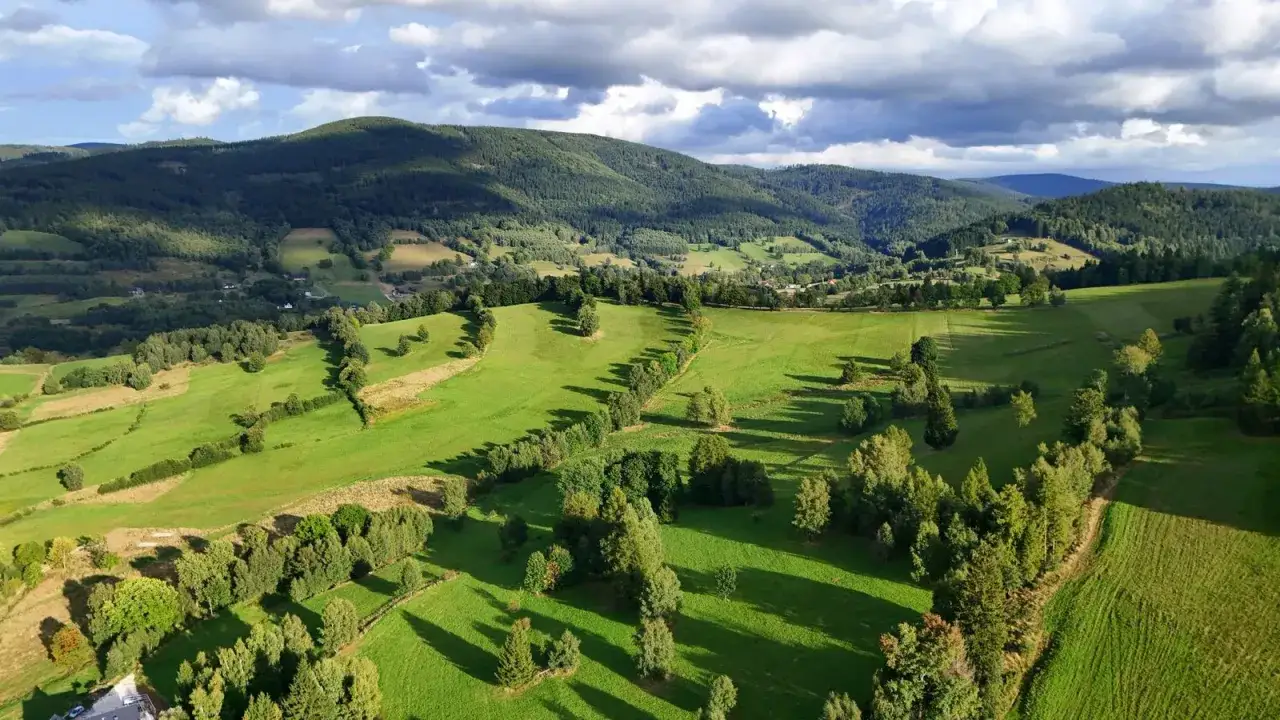 Zielone wzg&oacute;rza i lasy Beskidu Kłodzko, pofałdowane pola i drzewa rzucające długie cienie.