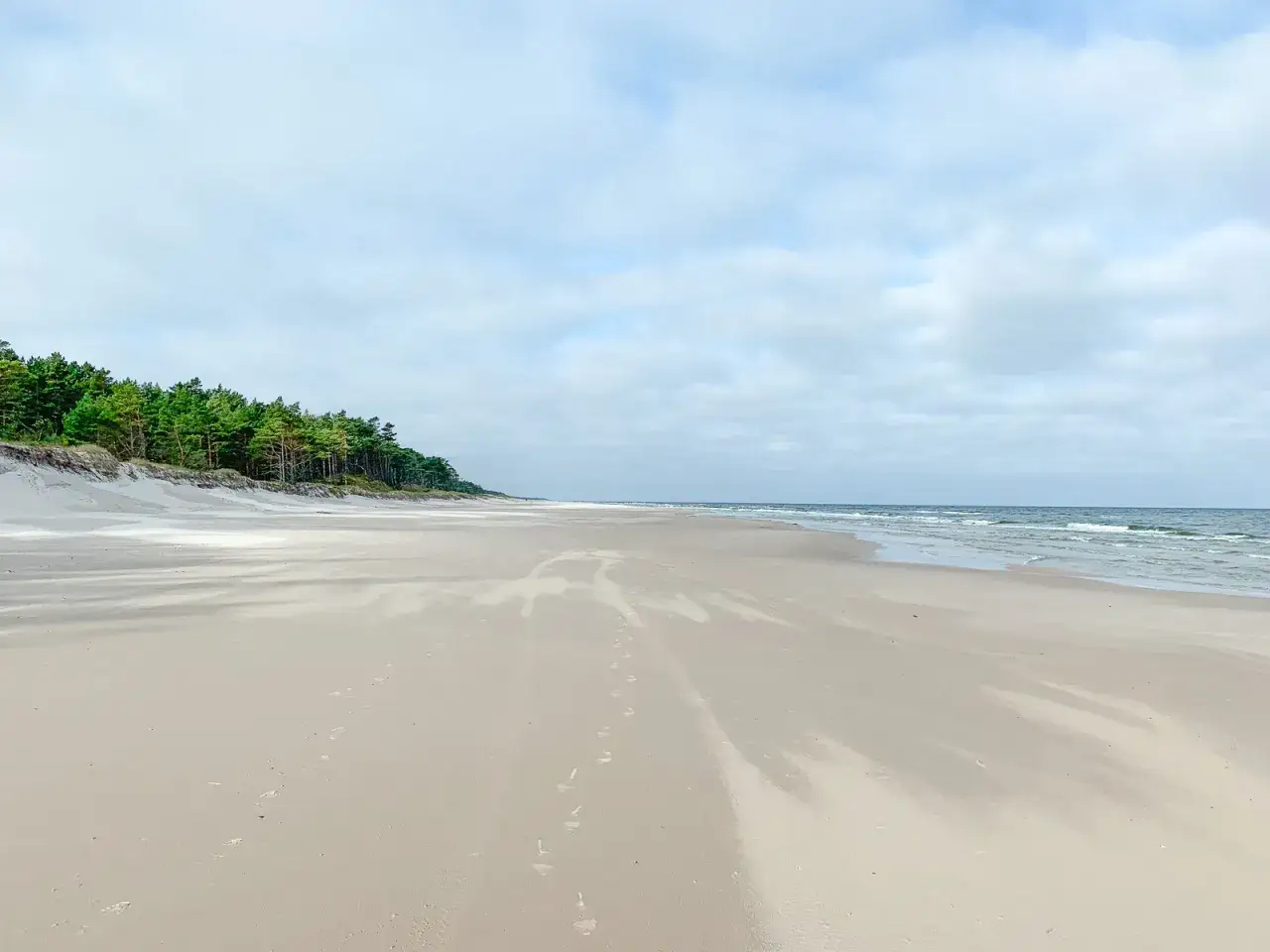 Pusta, szeroka plaża w Dębkach lub Lubiatowie z sosnowym lasem w tle