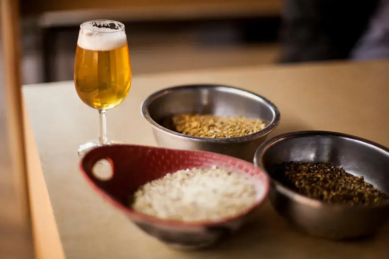 Szklanka piwa i miseczki z różnymi rodzajami słodu. Czy to klucz do odpowiedzi, które piwo jest najzdrowsze?