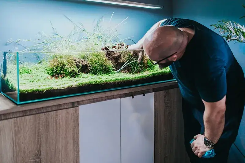 Zdjęcie Jak wyklarować wodę w akwarium i uniknąć mętnej wody