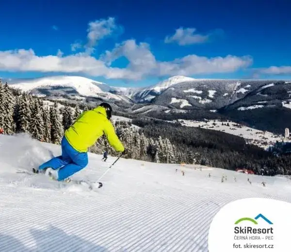 Zdjęcie Najlepsze stoki narciarskie w górach: gdzie znaleźć idealne trasy?