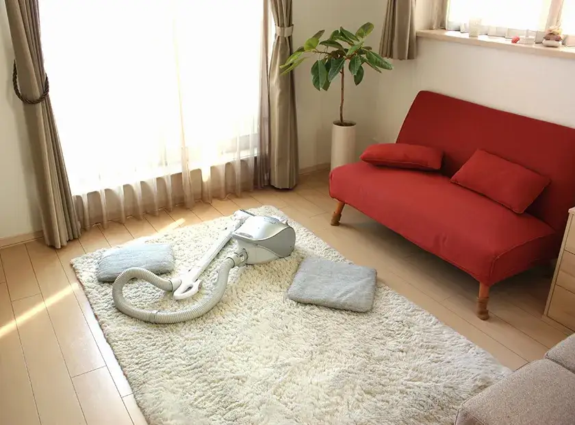 Zdjęcie Jak prac dywan pluszowy, aby uniknąć zniszczeń i plam?