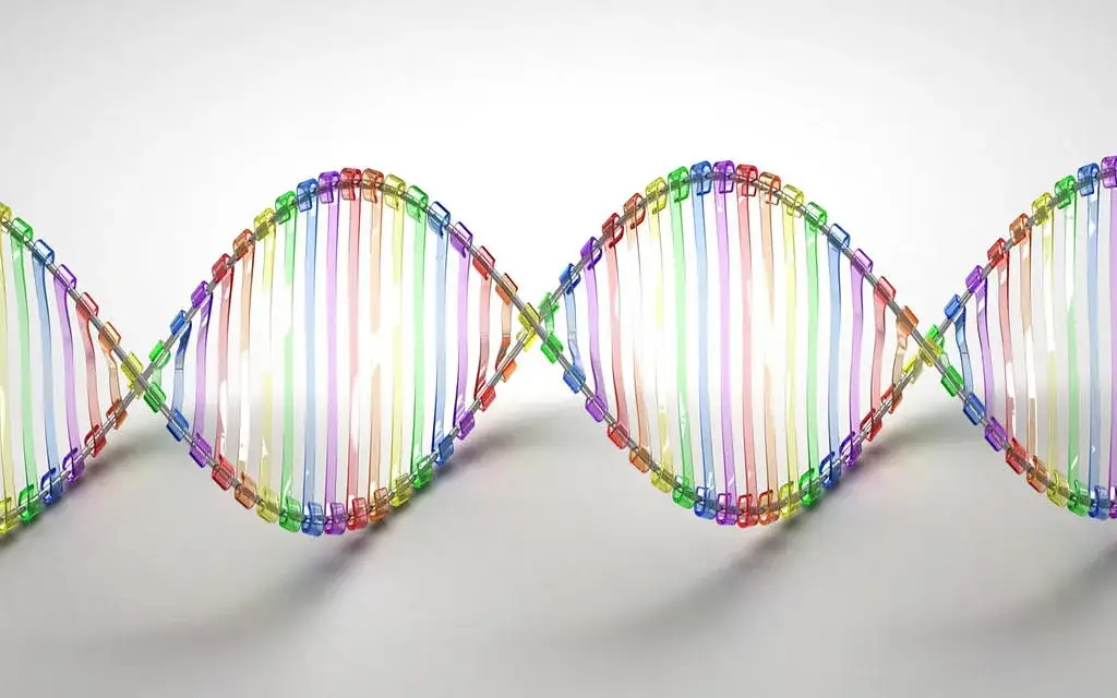 Zdjęcie Co po maturze z biologii? Odkryj najlepsze kierunki i kariery