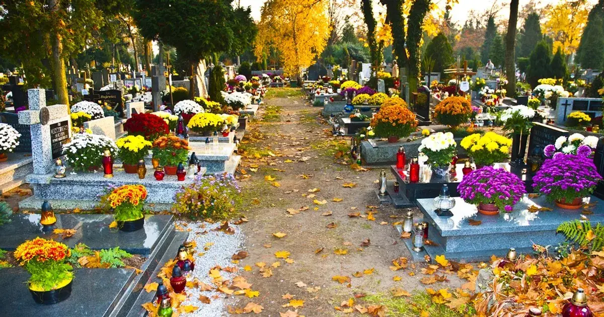 Zdjęcie Ile jest cmentarzy w Polsce? Zaskakujące fakty i ich rodzaje