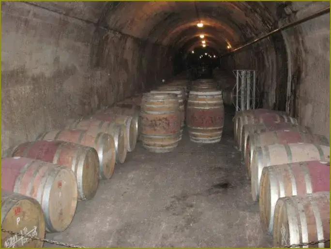 Zdjęcie Jak zatrzymać fermentację wina i uniknąć niepożądanych smaków