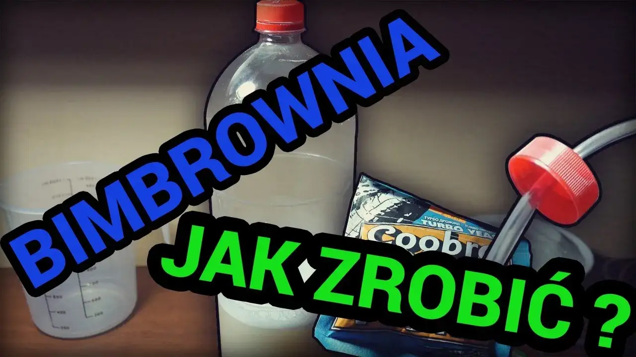 Zdjęcie Jak zrobić bimbrownie do akwarium i poprawić wzrost roślin