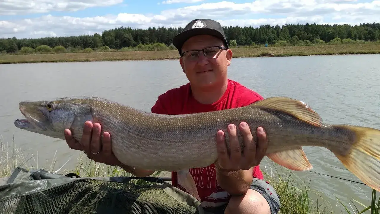Zdjęcie Łowisko nad potokiem – idealne miejsce na wędkarską przygodę