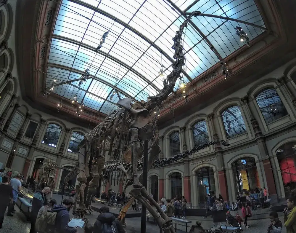 Zdjęcie Muzeum sztuki naturalnej Berlin - Fascynujące zbiory i wystawy