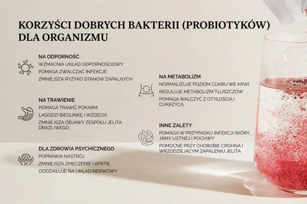 składniki na koktajl jelitowy, błonnik probiotyki prebiotyki