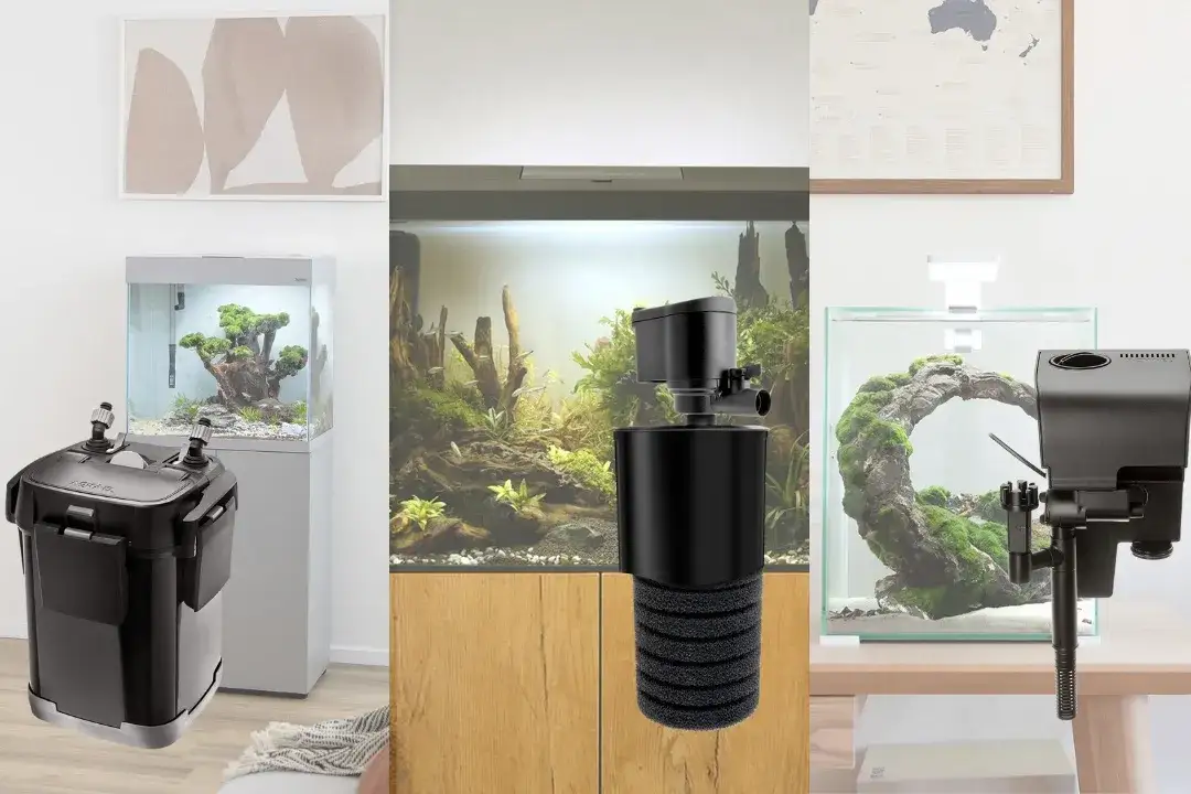 rodzaje filtrów akwariowych