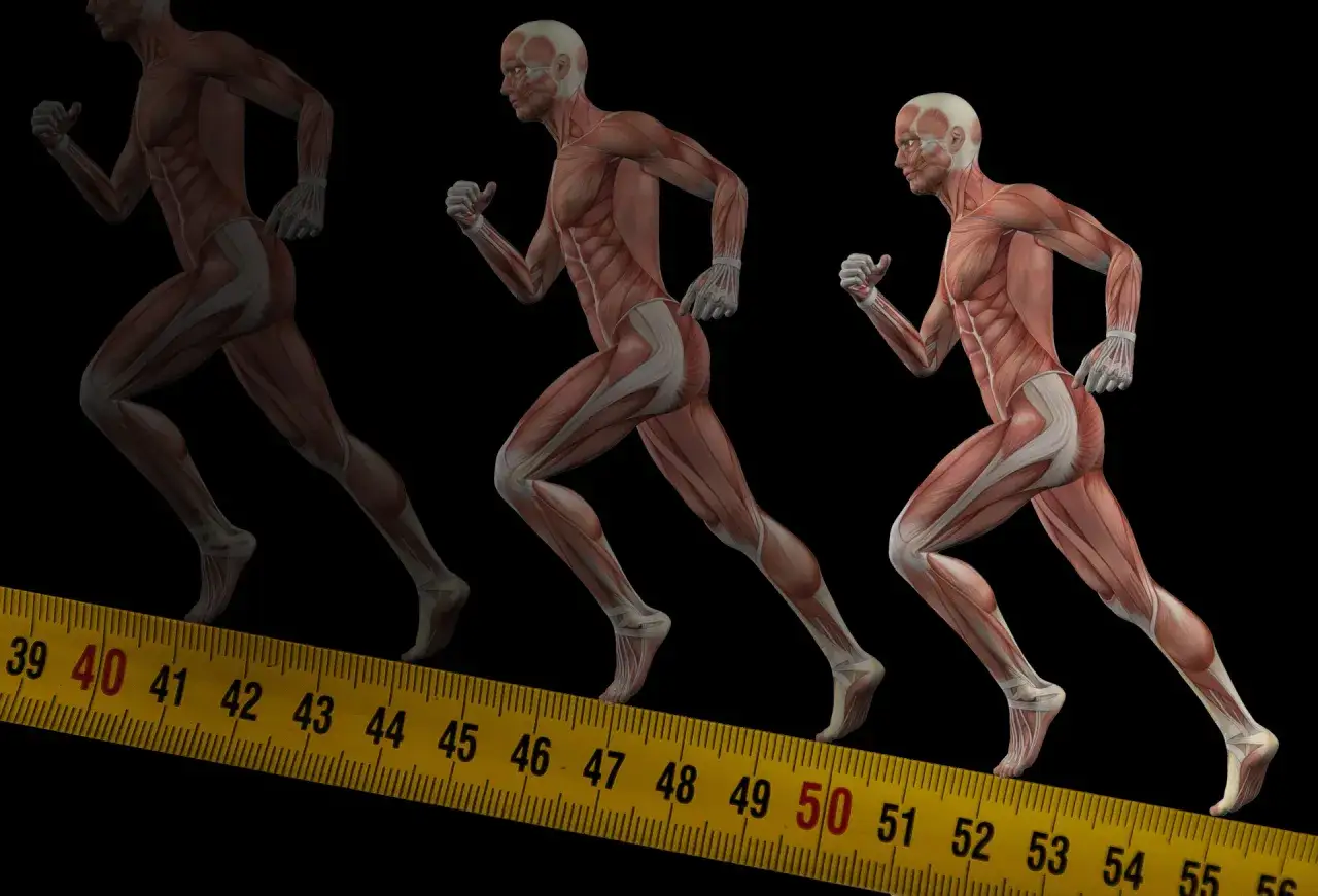 mięśnie nóg podczas biegu grafika